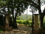 MAS PROVEN�AL - Gassin / Saint-Tropez