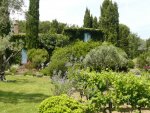 MAS PROVEN�AL - Gassin / Saint-Tropez