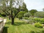 MAS PROVEN�AL - Gassin / Saint-Tropez