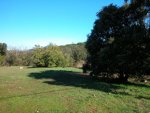 Terrain agricole